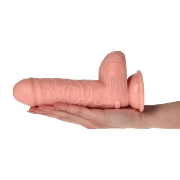 Dildo Armando 8 - Image 6