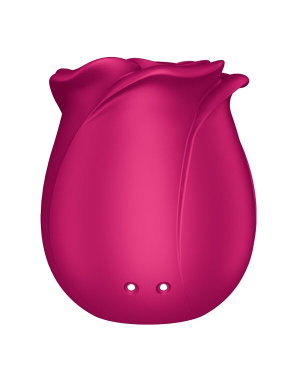Zračni Stimulator “Pro 2 Classic Blossom” - Image 5